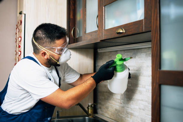 Best Emergency Pest Control  in Florham Park, NJ