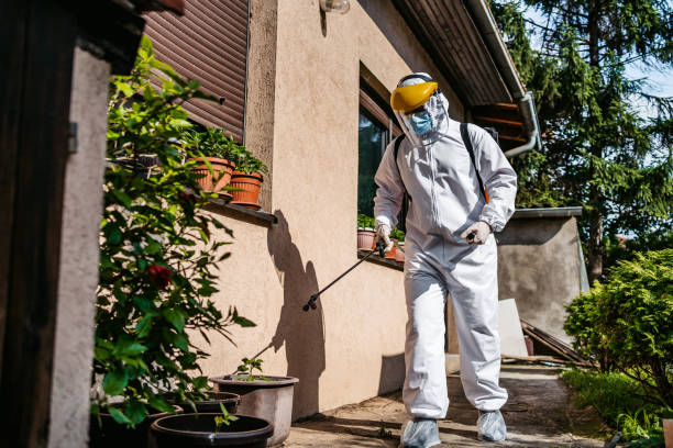 Best Wasp Removal Services  in Florham Park, NJ