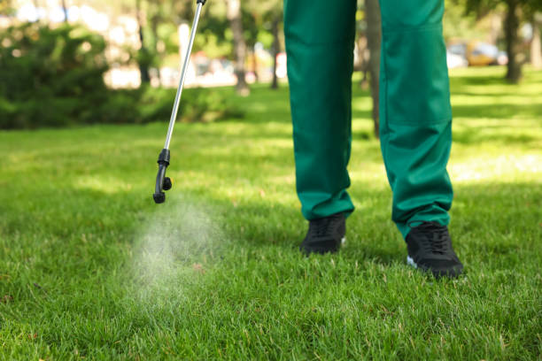 Best Termite Control Services  in Florham Park, NJ