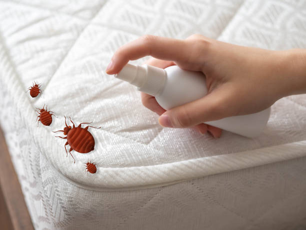 Best Pest Control Near Me  in Florham Park, NJ
